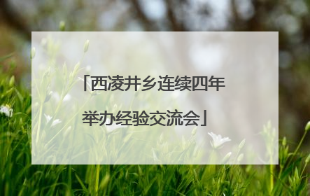 西凌井乡连续四年举办经验交流会